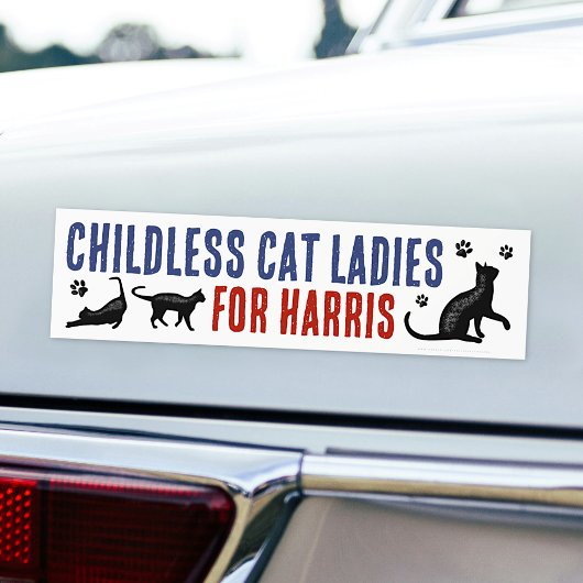 Kamala Harris Präsident 2024 Kinderlose Cat Ladys Autoaufkleber