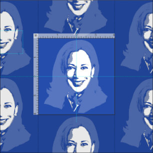 KAMALA HARRIS STOFF