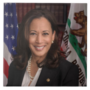 Kamala Harris US-Vizepräsident, Biden 2024 Fliese