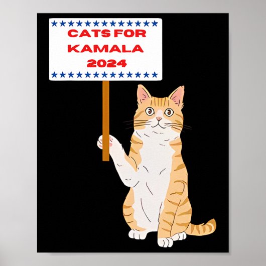 Kamala Harris wählt Präsident 2024 USA Poster (Vorne)