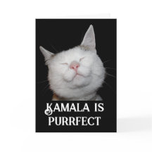 Kamala ist Purrfect