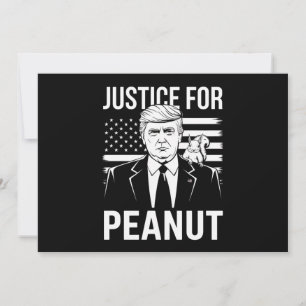 Kamala Trump bei der Wahl 2024 habe ich nicht für  Einladung