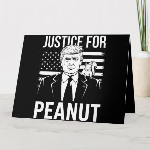 Kamala Trump bei der Wahl 2024 habe ich nicht für Karte