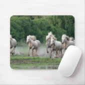 Kamargue Pferde laufen im Wasser Mousepad (Mit Mouse)