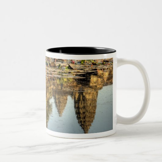 Kambodscha, Angkor Wat. Gedenken an den Tempel Zweifarbige Tasse (Rechts)