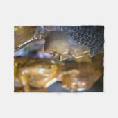 Kambodscha, Phnom Penh. Buddha-Statuen Fleecedecke (Vorderseite (Horizontal))