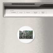 Kambodscha-Tempel Magnet (In Situ (Geschirrspüler))