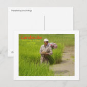 Kambodscha-Transplantation von Reissamen Postkarte (Vorne/Hinten)