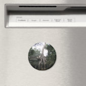 Kambodschanischer Tempel im Dschungel Magnet (In Situ (Geschirrspüler))