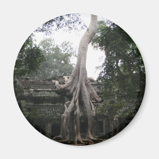 Kambodschanischer Tempel im Dschungel Magnet (Vorne)