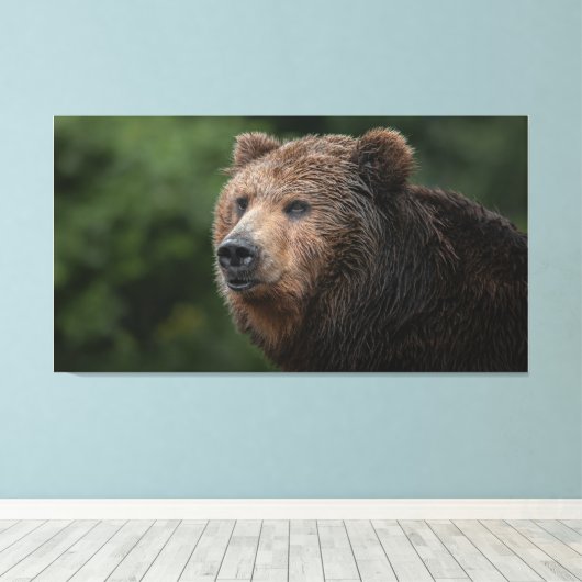 Kamchatka Brown Bear Leinwanddruck (Insitu (Holzboden))