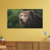 Kamchatka Brown Bear Leinwanddruck (Insitu (Wohnzimmer))