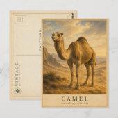 Kamel Arabische Wüste VINTAGE Postkarte (Vorne/Hinten)