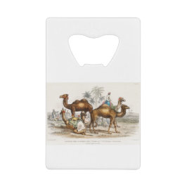 Kamel aus Bactrian, arabisches Kamel oder Dromedar Geldbeutel Flaschenöffner
