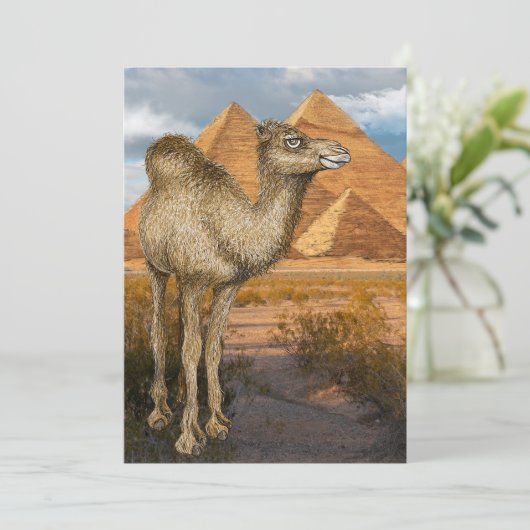 Kamel bei der Einladung der Pyramiden (Stehend Vorderseite)