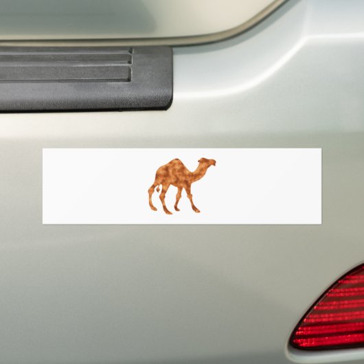Kamel camel autoaufkleber (Auf Auto)