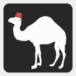 Kamel Aufkleber Zazzle De