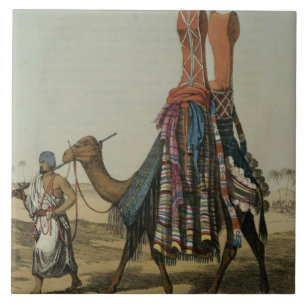 Kamel, das einer Braut zu ihrem Ehemann, Fliese