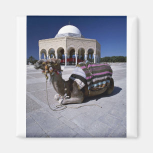 Kamel, das vor Haube, Monastir, Tunesien Magnet