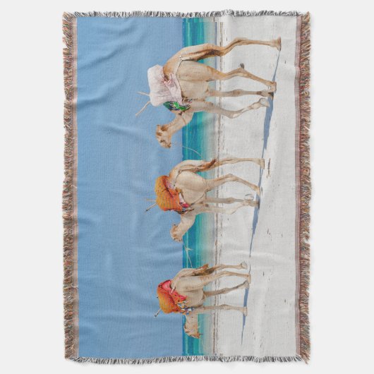 Kamel Decke (Vorderseite Vertikal)