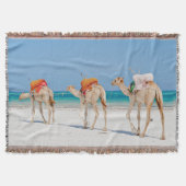 Kamel Decke (Vorderseite)