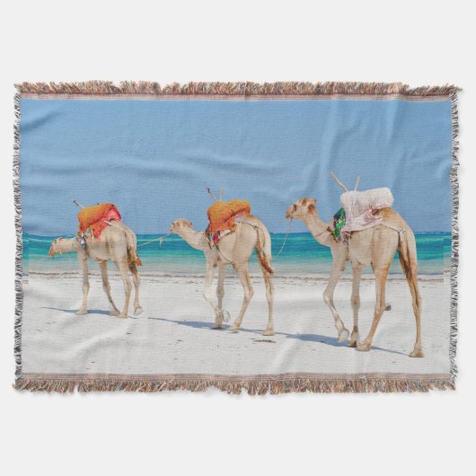 Kamel Decke (Vorderseite)