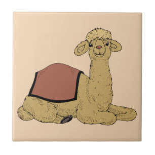 Kamel Dromedar camel dromedary Fliese