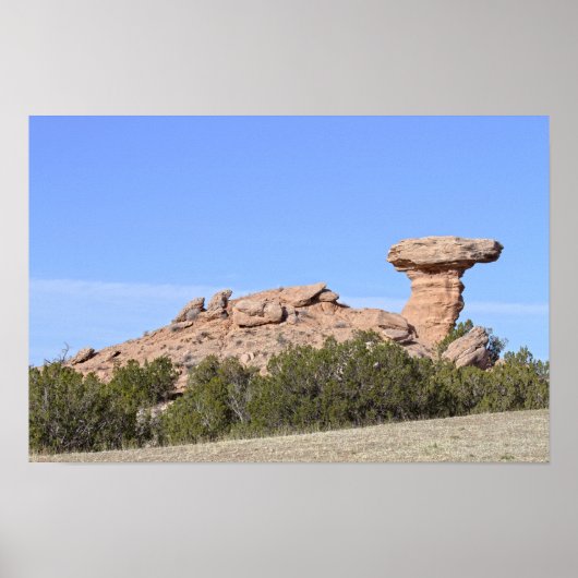 Kamel-Felsen, New Mexico Poster (Vorne)