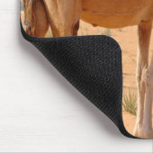 Kamel für Araber-Mausunterlage Mousepad (Ecke)