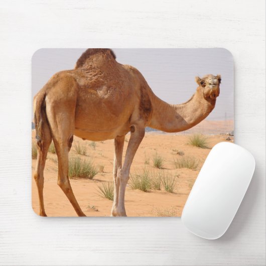 Kamel für Araber-Mausunterlage Mousepad (Mit Mouse)