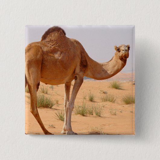 Kamel für Araber-quadratisches Button (Vorderseite)