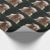 Kamel Geschenkpapier (Ecke)