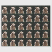 Kamel Geschenkpapier (Flach)