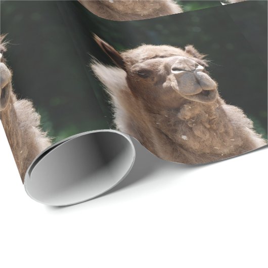 Kamel Geschenkpapier (Rolleneckpunkt)