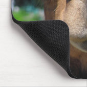Kamel-Gesicht Mousepad (Ecke)
