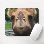 Kamel-Gesicht Mousepad (Mit Mouse)