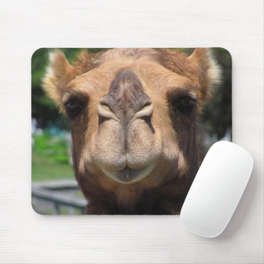 Kamel-Gesicht Mousepad (Mit Mouse)