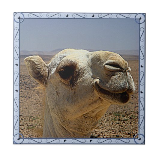 Kamel-Hauptfliese Fliese (Vorderseite)