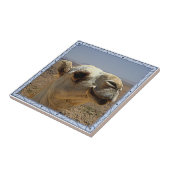 Kamel-Hauptfliese Fliese (Seite)