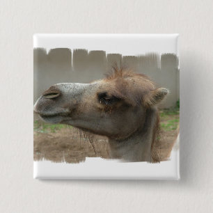 Kamel-Hauptknopf Button