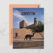 Kamel in Chiwa, Usbekistan Postkarte (Vorne/Hinten)