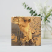 Kamel in den Wüsten-Einladungen Einladung (Stehend Vorderseite)