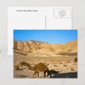 Kamel in der jüdischen Wüste Postkarte (Vorne/Hinten)
