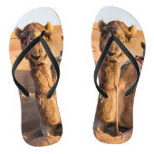 Kamel in der Oman-Wüste Badesandalen (Fußbett)