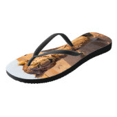 Kamel in der Oman-Wüste Badesandalen (Schrägansicht)