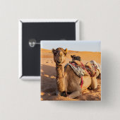 Kamel in der Oman-Wüste Button (Vorne & Hinten)