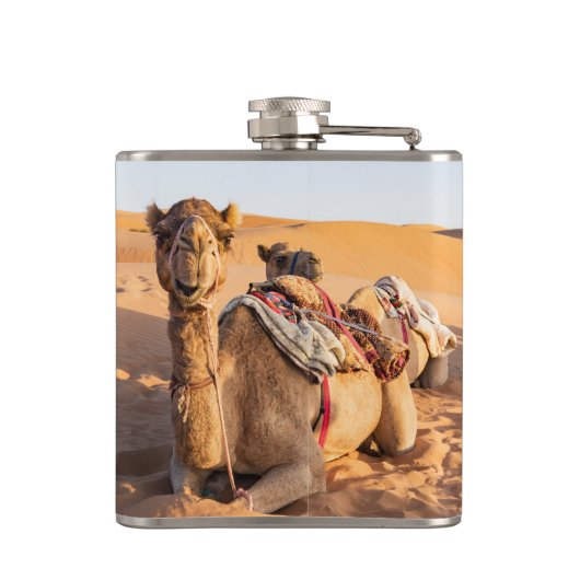 Kamel in der Oman-Wüste Flachmann (Rückseite)