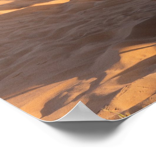 Kamel in der Oman-Wüste Poster (Ecke)