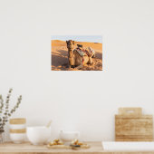 Kamel in der Oman-Wüste Poster (Küche)