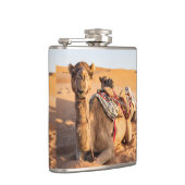 Kamel in der omanischen Wüste Flachmann (Rechts)